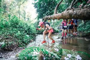 BIB: 
                            <button type="button" onclick="openModal(25454025)" class="btn btn-primary btn-sm float-right btn-popup" data-toggle="modal" data-target=".modal-high-quality">
                        <i class="fas fa-shopping-cart"></i> Add to Cart
                    </button>
                                            <button type="button" onclick="isThisMe(25454025, true)" class="btn btn-success btn-sm float-right btn-popup btn-isme hidden" data-toggle="tooltip" data-placement="bottom" title="นี่คือรูปของคุณใช่ไหม คลิกที่นี่เพื่อเอาเข้าอัลบั้ม">
                        <i class="fas fa-plus"></i> Add to album
                    </button>
                    <button type="button" onclick="isThisMe(25454025, false)" class="btn btn-warning btn-sm float-right btn-popup btn-isnotme hidden">
                        <i class="fas fa-ban"></i> Remove from album
                    </button>